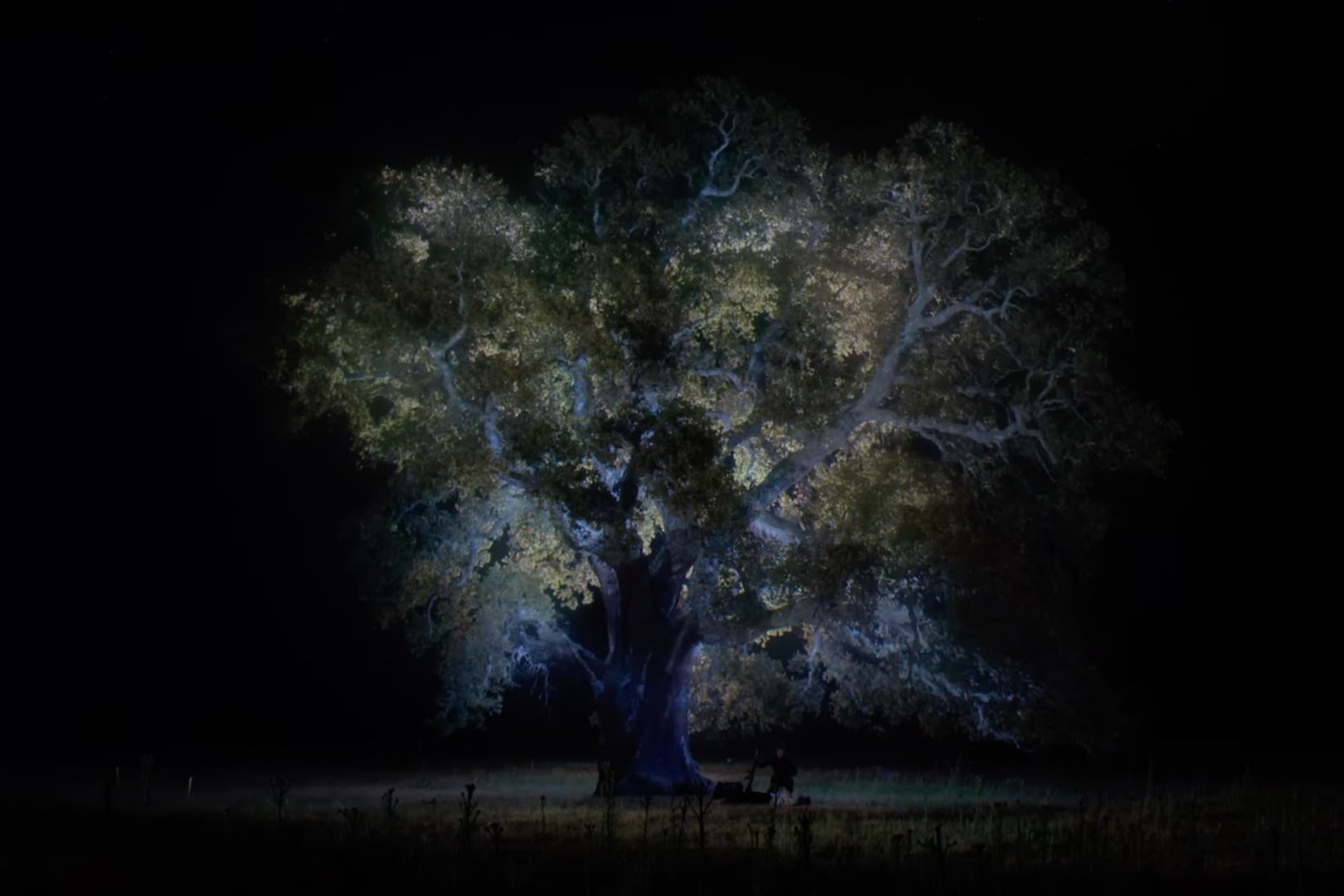 Bildschirmfoto%202021-11-10%20um%2015.46.05