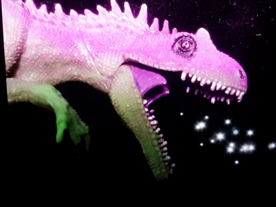 39. Stuttgarter Filmwinter – Festival for Expanded Media