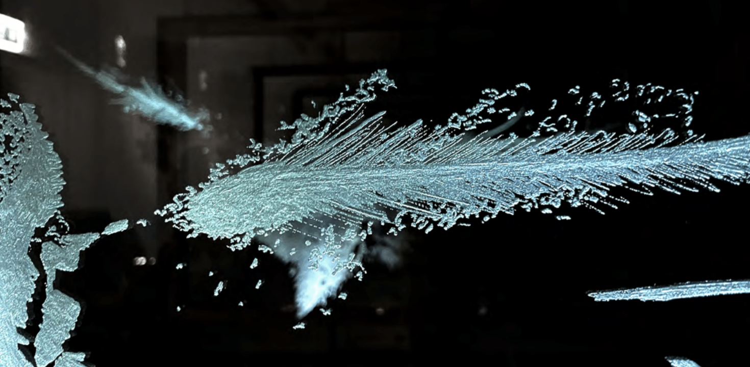 39. Stuttgarter Filmwinter – Festival for Expanded Media