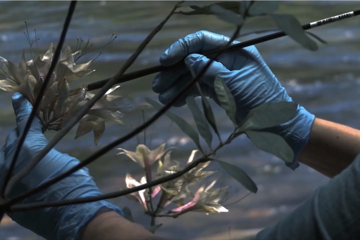 39. Stuttgarter Filmwinter – Festival for Expanded Media